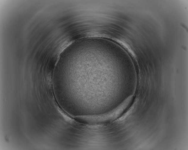 X0000091730897200708311159