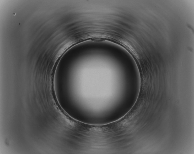 X0000091730898200708311159