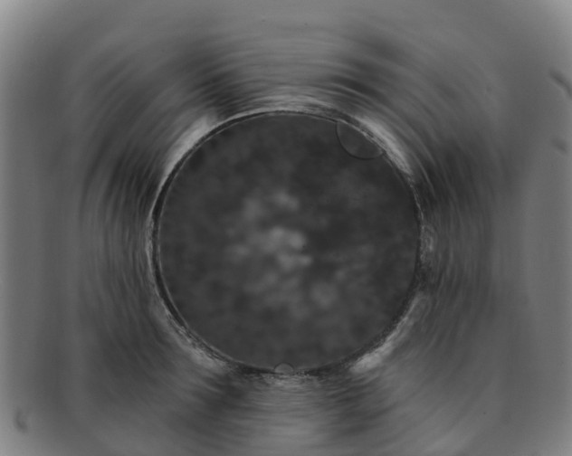 X0000091730899200708311159