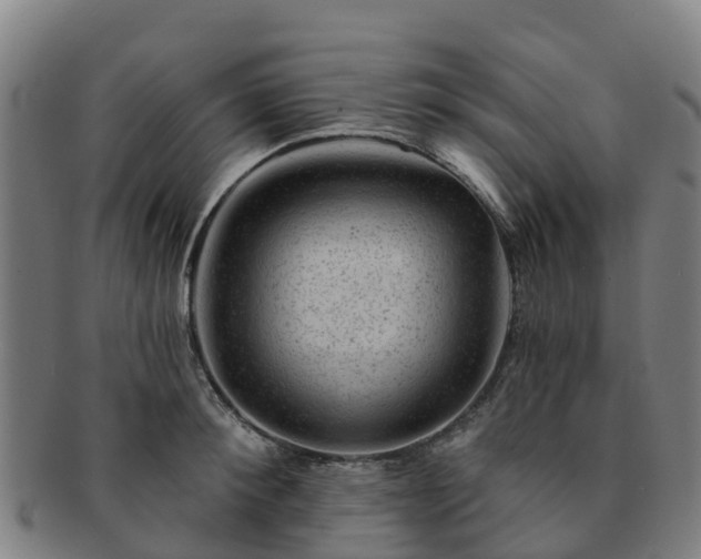 X0000091730900200708311159