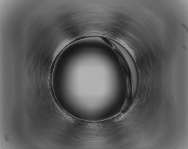 X0000091730901200708311159