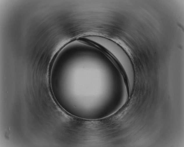 X0000091730902200708311159
