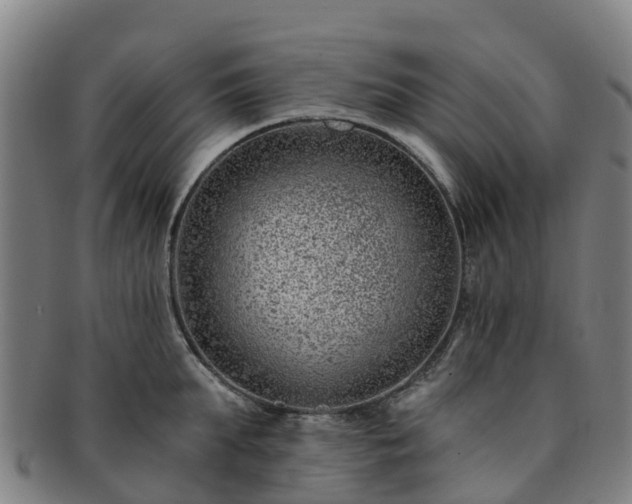 X0000091730903200708311159