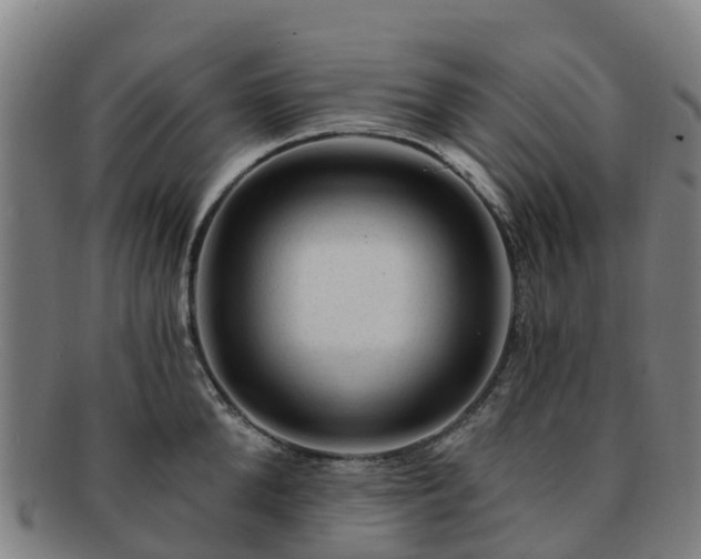 X0000091730904200708311159