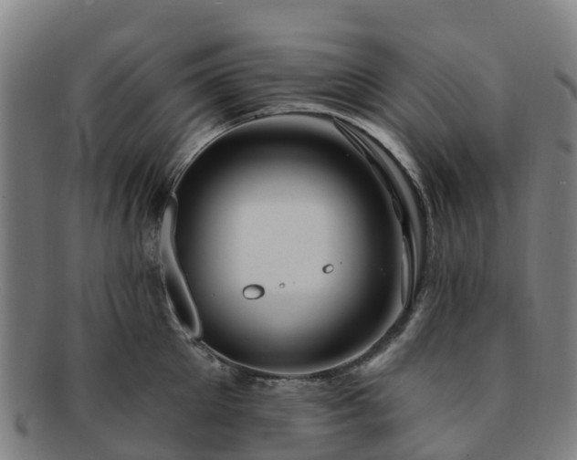 X0000091730905200708311159