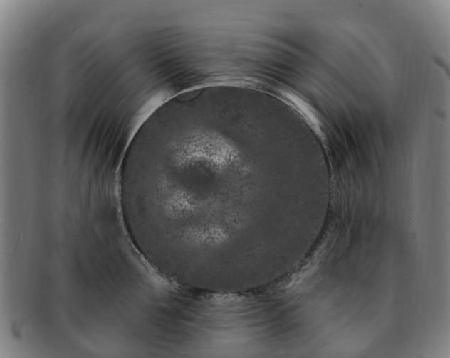 X0000091730907200708311159