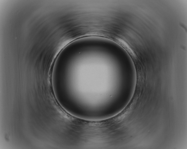 X0000091730908200708311159