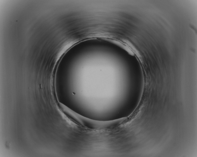 X0000091730909200708311159