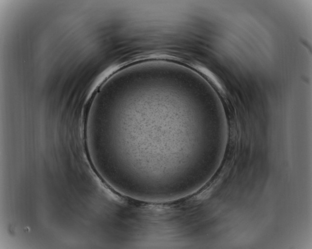 X0000091730910200708311159