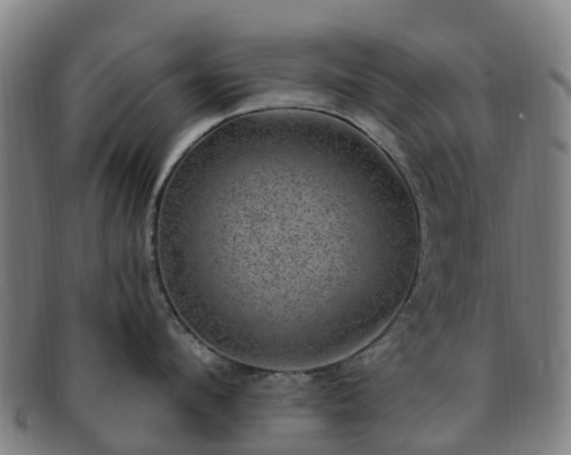 X0000091730912200708311159