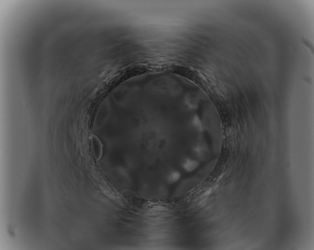 X0000091730913200708311158