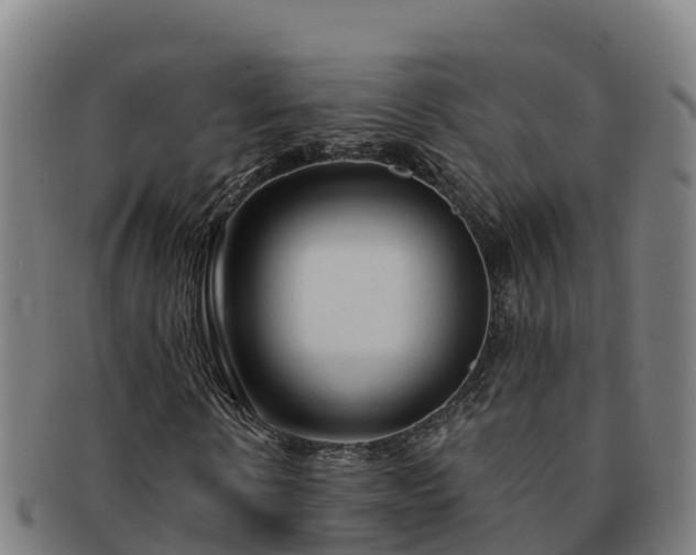X0000091730914200708311158