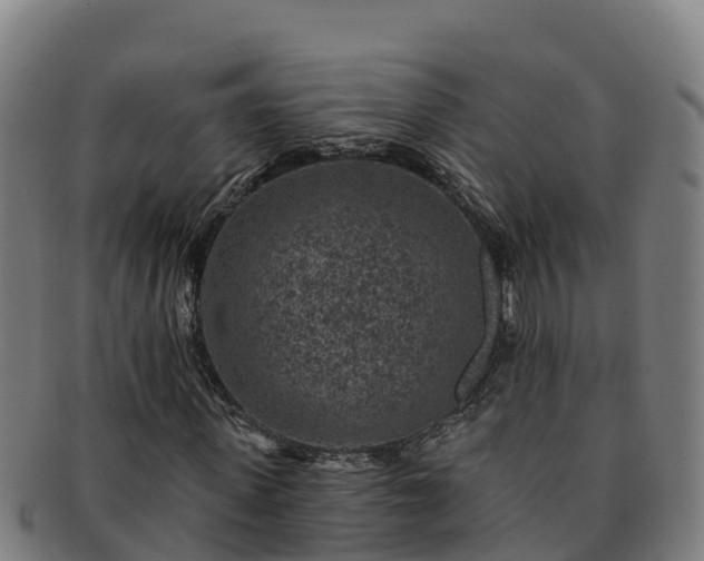 X0000091730915200708311158