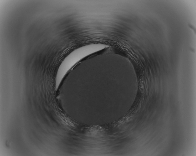 X0000091730916200708311158