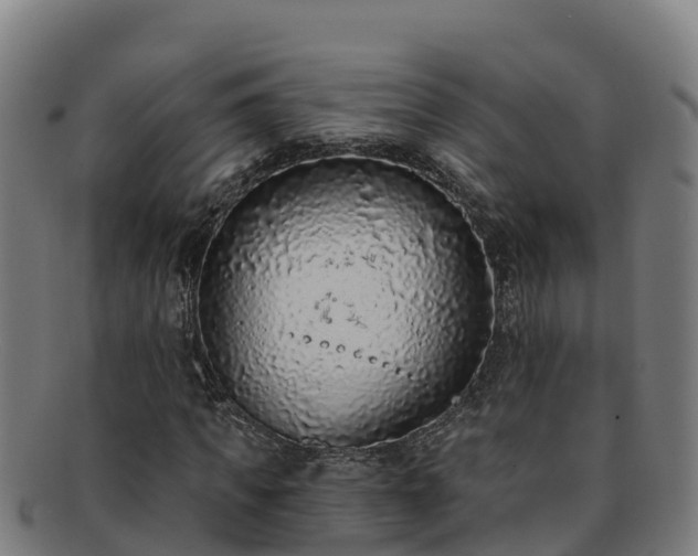 X0000091730917200708311158