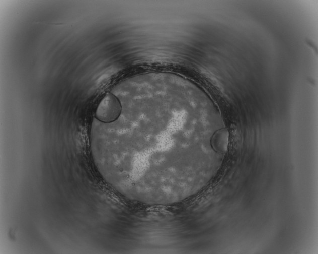 X0000091730918200708311158