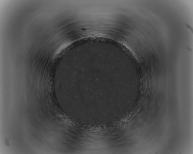 X0000091730919200708311158