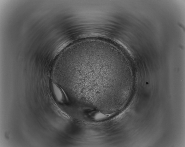 X0000091730921200708311158