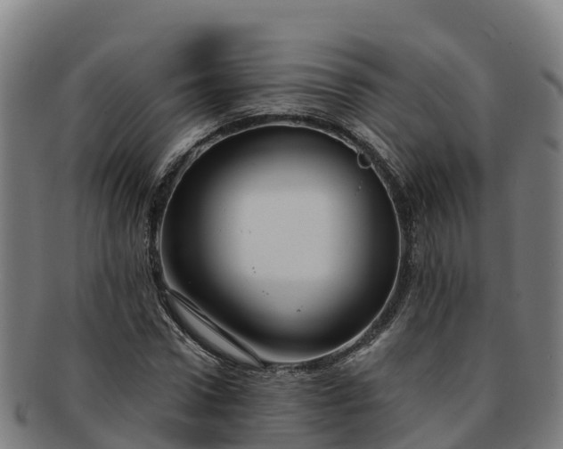 X0000091730922200708311158