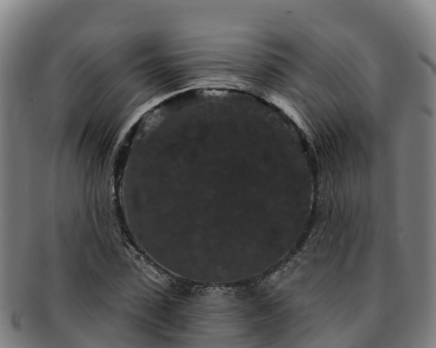 X0000091730923200708311158