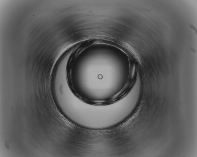 X0000091730924200708311158