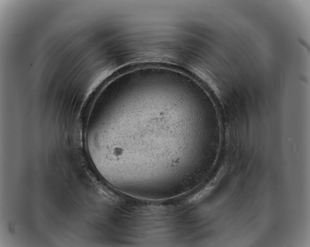 X0000091730925200708311158