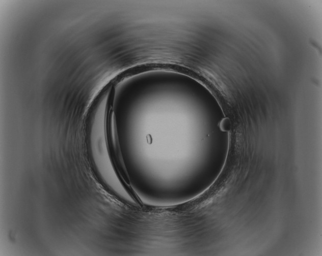 X0000091730926200708311158