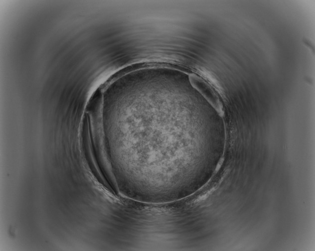 X0000091730928200708311158