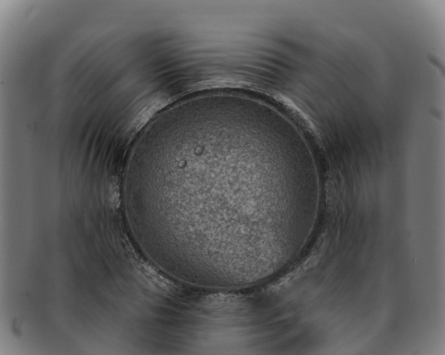 X0000091730929200708311158