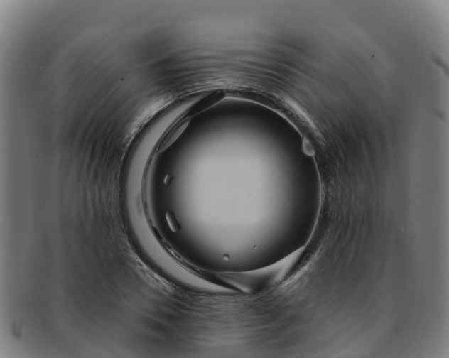 X0000091730930200708311158