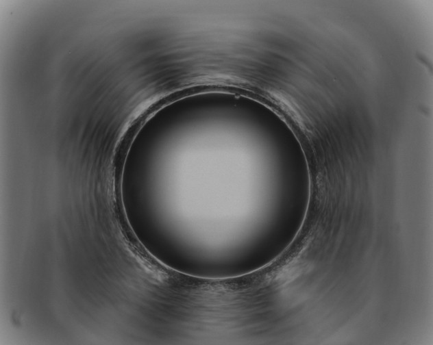 X0000091730931200708311158