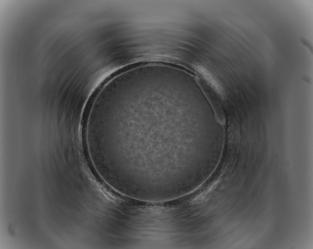 X0000091730932200708311158