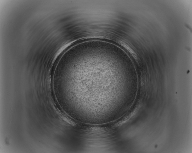 X0000091730933200708311158
