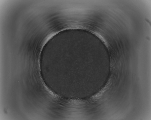 X0000091730935200708311158