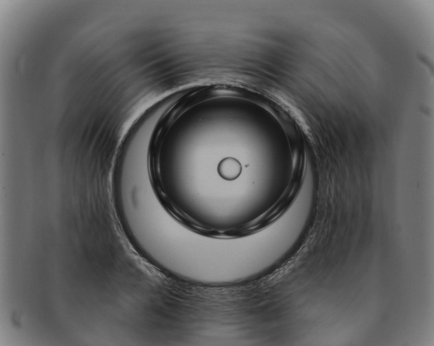 X0000091730936200708311158