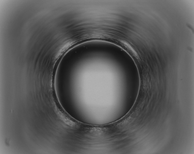 X0000091730938200708311158