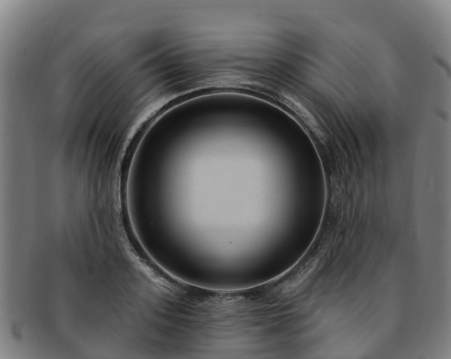 X0000091730939200708311158