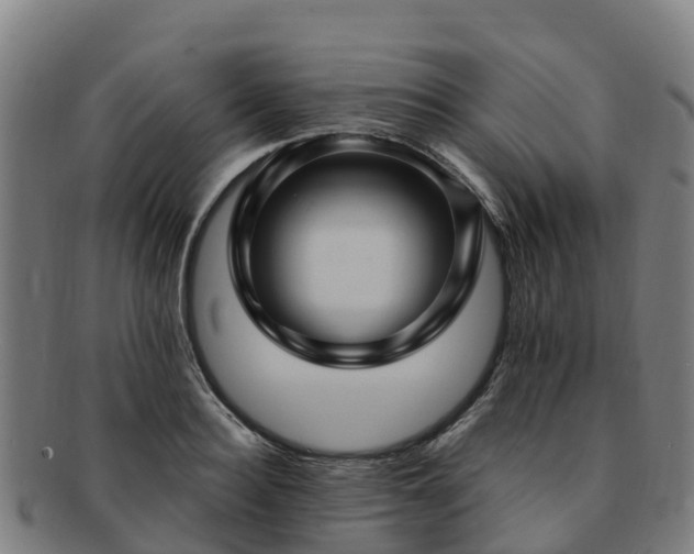 X0000091730940200708311158