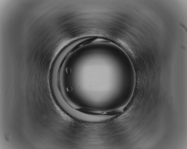 X0000091730942200708311158