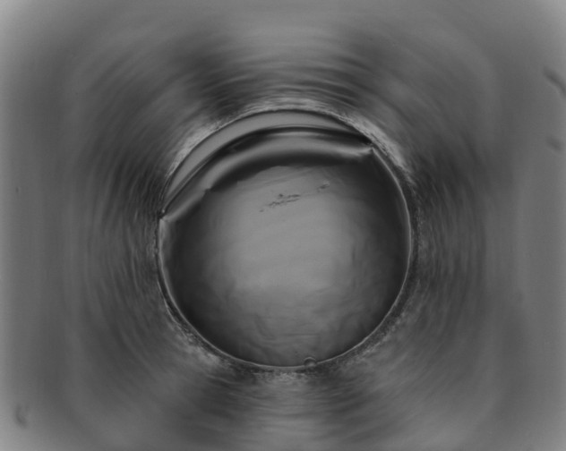 X0000091730945200708311158