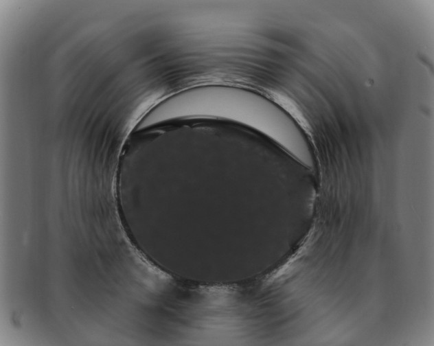 X0000091730946200708311158
