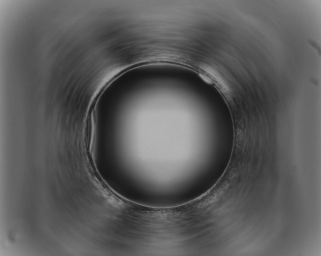 X0000091730948200708311158