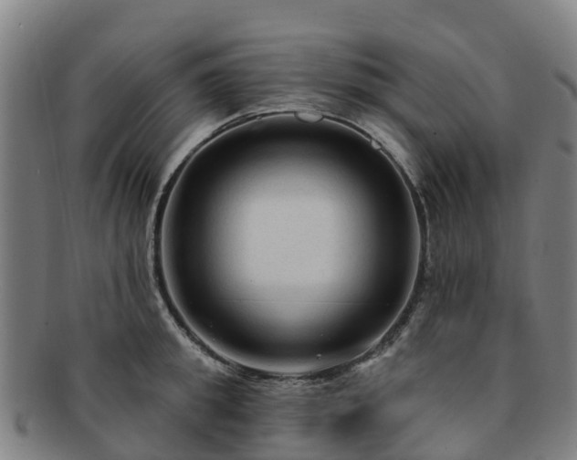 X0000091730949200708311158