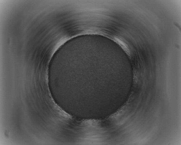 X0000091730950200708311158