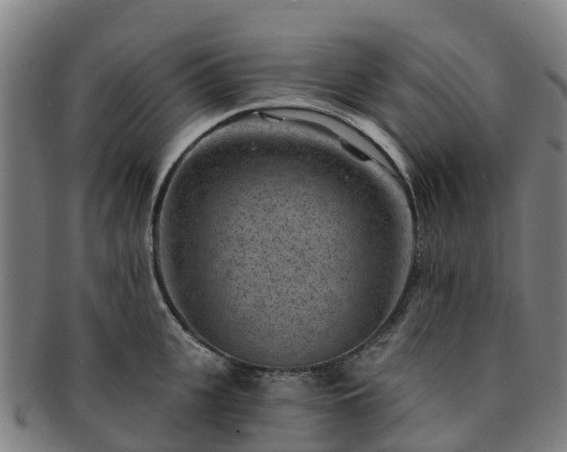 X0000091730951200708311158