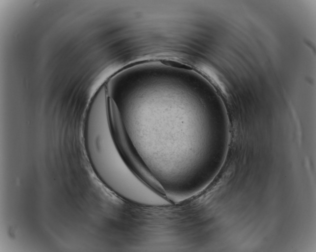 X0000091730952200708311158