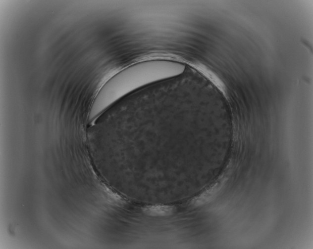 X0000091730953200708311158