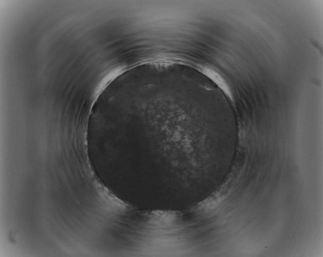 X0000091730954200708311159