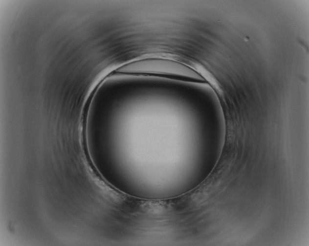 X0000091730955200708311159