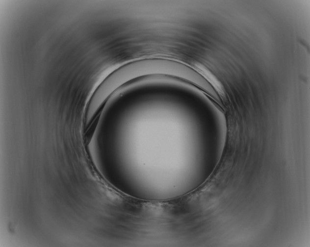 X0000091730956200708311159
